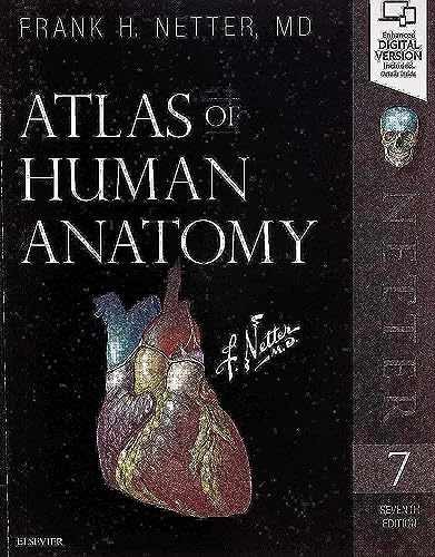 Atlas human anatomy netter - atlas,