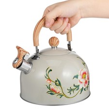  Stainless Steel Kettle Gas