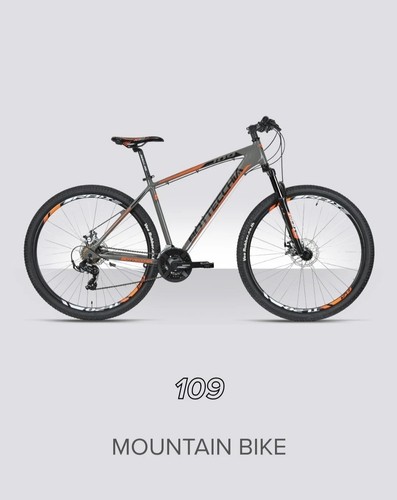 Mountain bike bottecchia 109 - mountain,