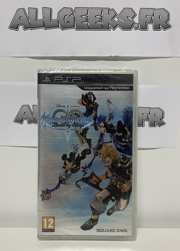 Kingdom hearts birth sleep - kingdom,