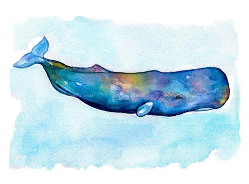 Stampa acquerello balena