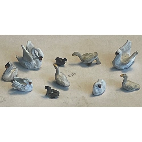 Uccelli acquatici dipinti x - uccelli,