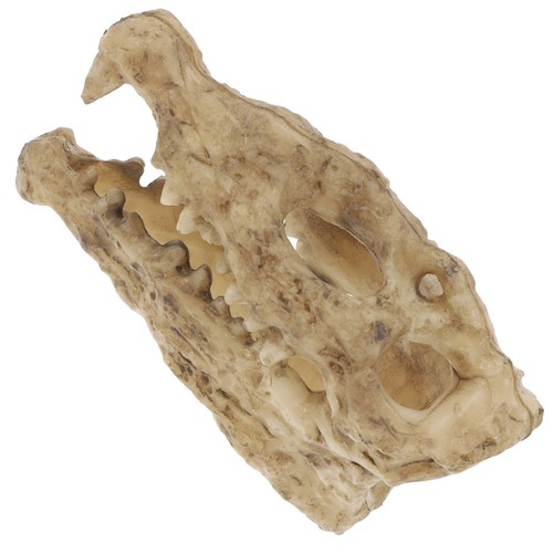 Gabbia lucertola accessori - gabbia,