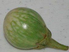 Melanzane Thailandesi - 50