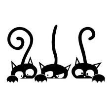Cats Cunning PVC Black