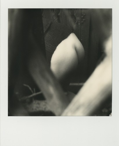 Quadro polaroid nudo originale - quadro,