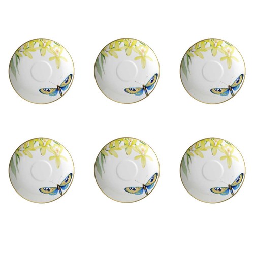 Villeroy boch amazonia - amazonia, 6
