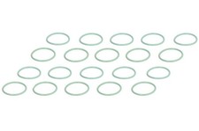 ✅Per SANTECH MT0033 Inching radtifier MT0033 O-ring 25,51x21,95x ⭐Venditore Top⭐