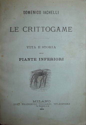 Botanica fig 1878 - botanica,