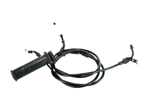 Benelli leoncino 800 - 800, 2022