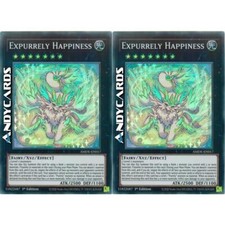 2x EXPURRELY HAPPINESS