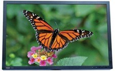 Monitor LaCie 526 25,5 pollici