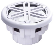 Subwoofer marino 10" 25cm max