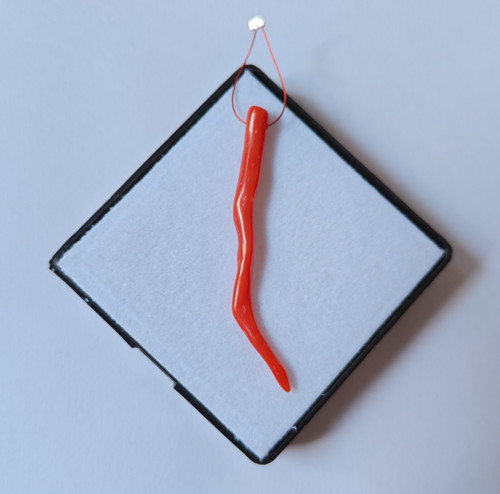 Corallo rosso italiano