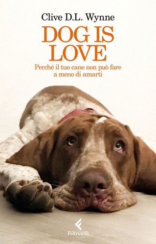 Libro wynne clive l - wynne,