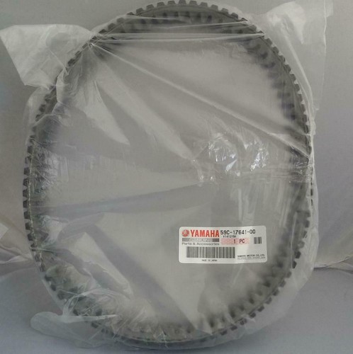 Cinghia trasmissione variatore - cinghia,