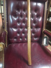 Bastone da passeggio