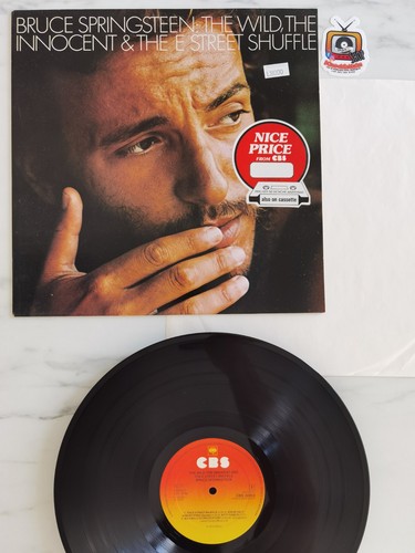 Bruce springsteen the - the, wild