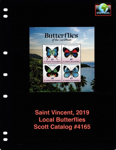 Scott value 2019 st - -,