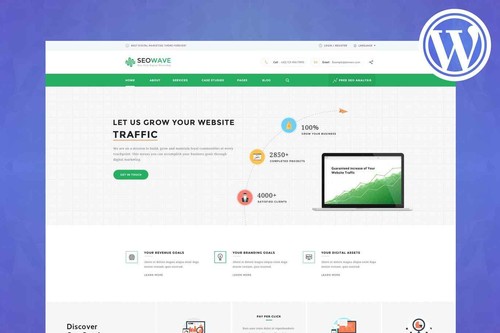 Wordpress premium plugin seo - wordpress,