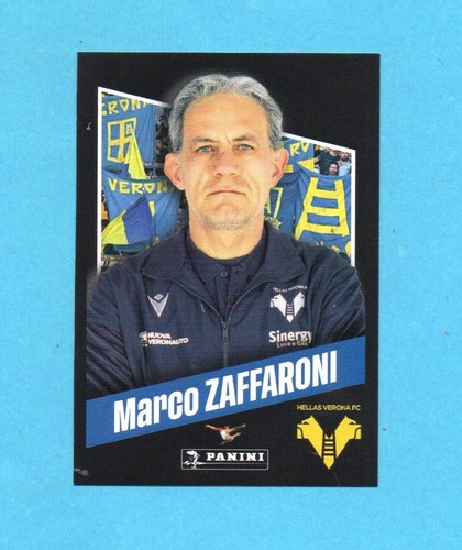 Panini calciatori - panini,