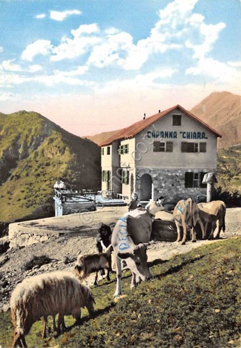 Cartolina limone piemonte - cartolina,