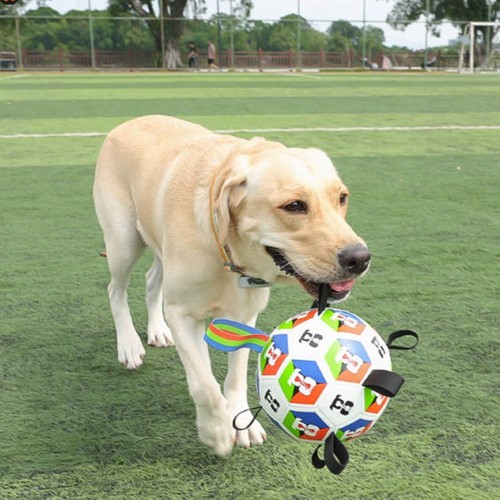 Calcio per cani con cinghia - calcio,
