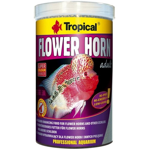 Tropical flower horn adult - tropical,