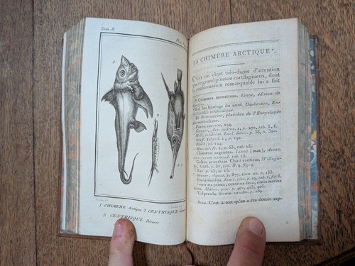 Libro antico spartatore - libro,