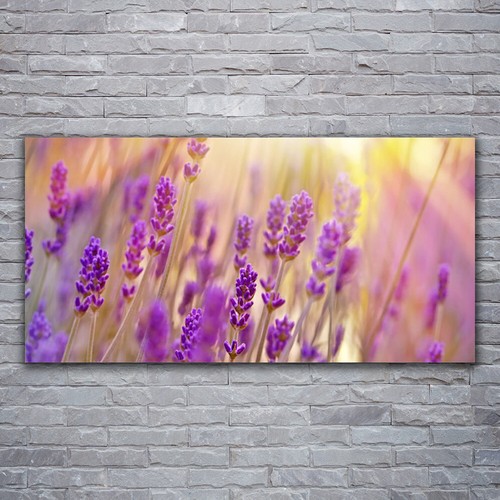 Moderni astratti 120x60 quadro - moderni,