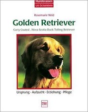 Golden Retriever, Curly Coated