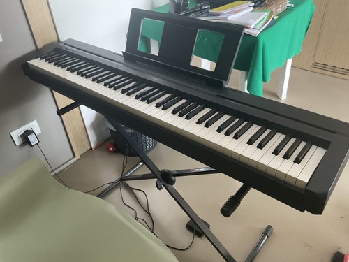 Yamaha p45 con - yamaha, pesati