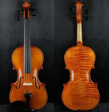 Favoloso maestro violino