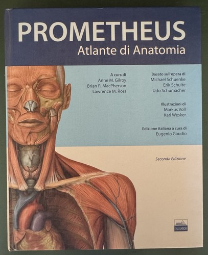 Atlante anatomia - di,