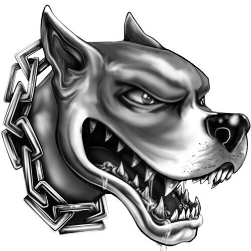 Attenti cane pitbull - -,