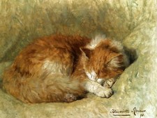 SLEEPING CAT di H. Ronner-Knip