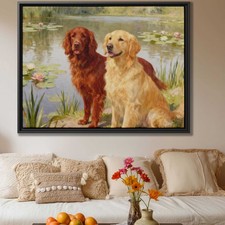 Golden Retriever Setter