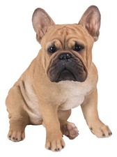 Statua Bulldog Francese Cane