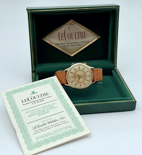 Allarme memovox automatico - memovox,