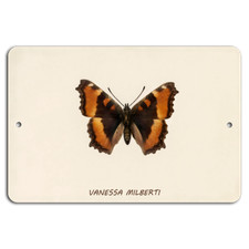 Insegna Vanessa Milberti
