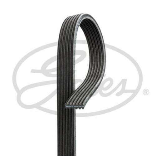 Gates cinghia per fiat - gates,