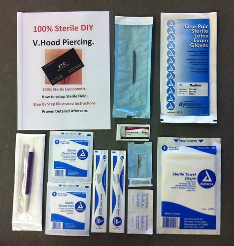 100 sterile hood - v.hood, con
