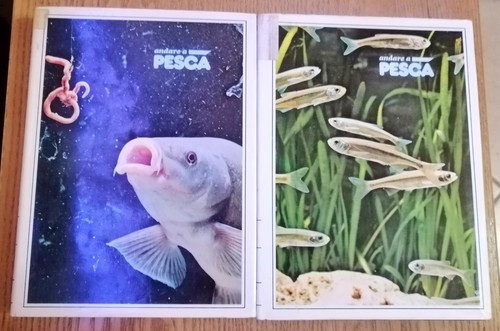 Due libri andare pesca - libri,