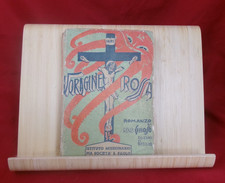 Libro voragine rossa renzo - rossa,