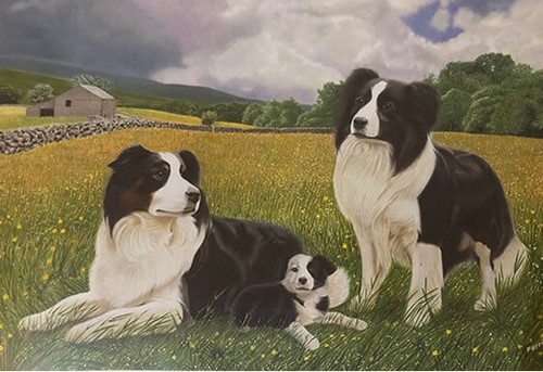 Border collie summer print - collie,