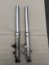 Steli Forcella Anteriore