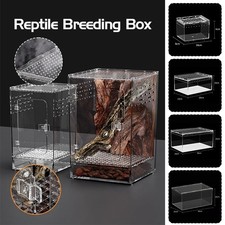 Rettile Habitat Terrario