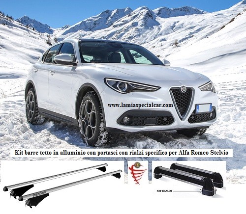 Portasci snowboard barre - +,