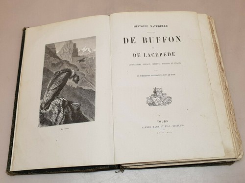 Antico libro storia - di,
