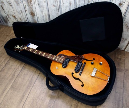 Chitarra elettrica acustica